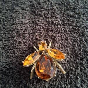 Brooch Rhinestone Fly
